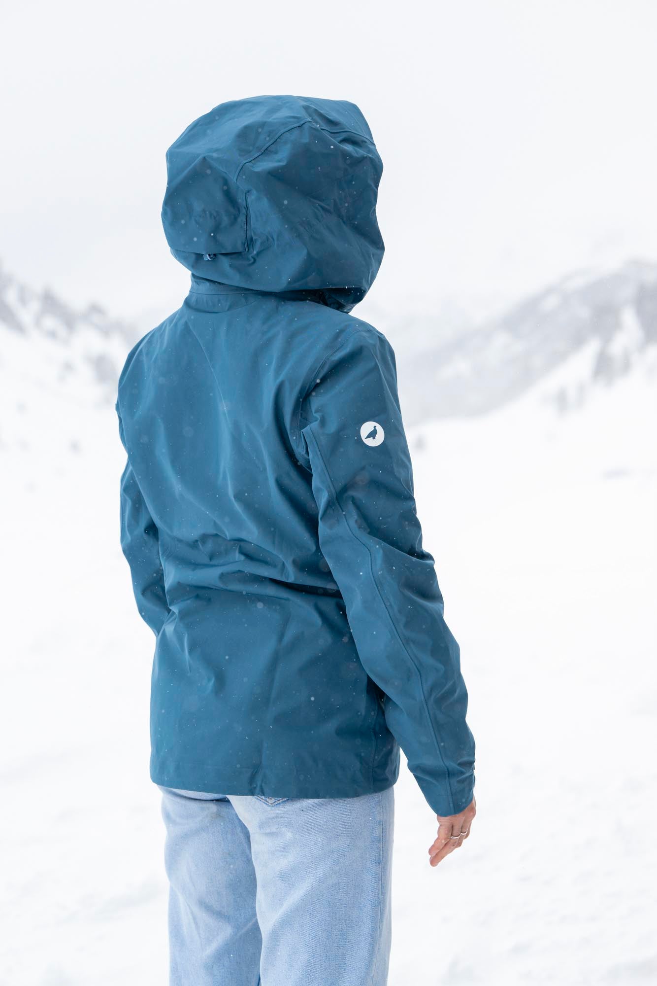 Variante Bleu Sarcelle